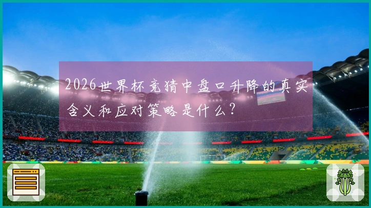 开云体育资讯文章配图