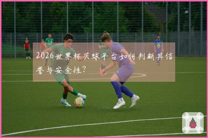 2026世界杯买球平台如何判断其信誉与安全性？