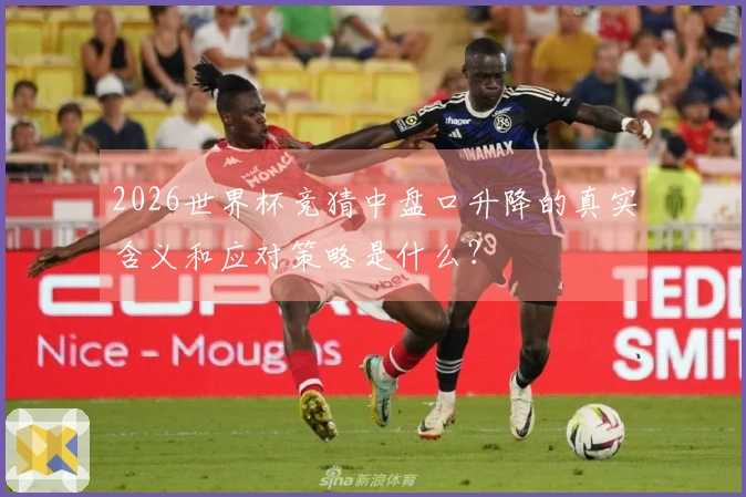 2026世界杯竞猜中盘口升降的真实含义和应对策略是什么？