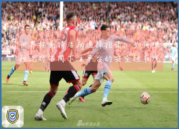 世界杯竞猜活动选择指南：如何理性比对不同下注平台的安全性和规则细节