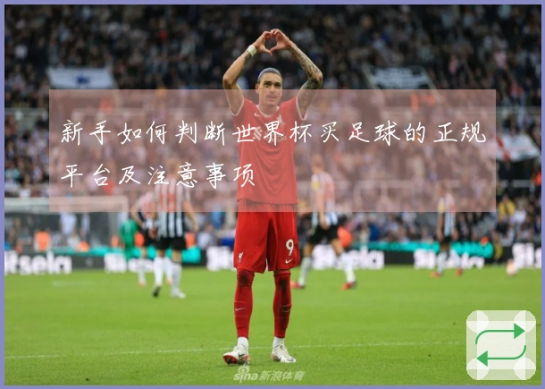 新手如何判断世界杯买足球的正规平台及注意事项