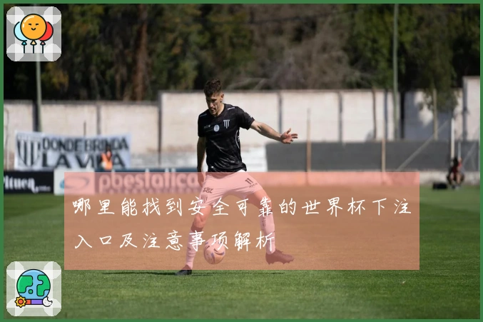 哪里能找到安全可靠的世界杯下注入口及注意事项解析
