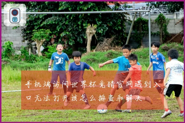 手机端访问世界杯竞猜官网遇到入口无法打开该怎么排查和解决