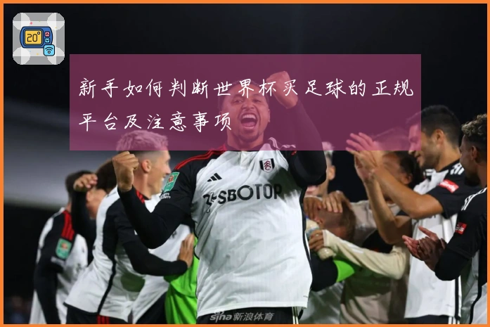 新手如何判断世界杯买足球的正规平台及注意事项