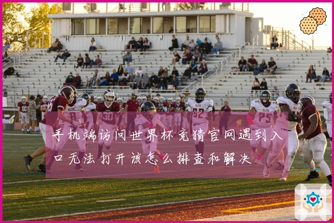 手机端访问世界杯竞猜官网遇到入口无法打开该怎么排查和解决